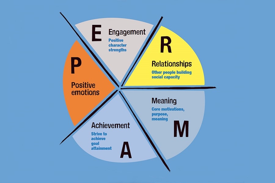 PERMA Model of Happiness (Examples + Images) - Practical Psychology